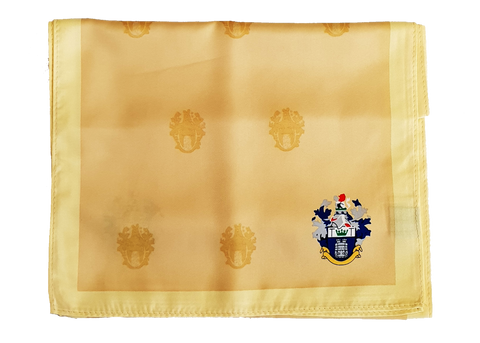 Golden scarf to celebrate the Institute of Quarryings global year, with the Institute of Quarrying logo on it.